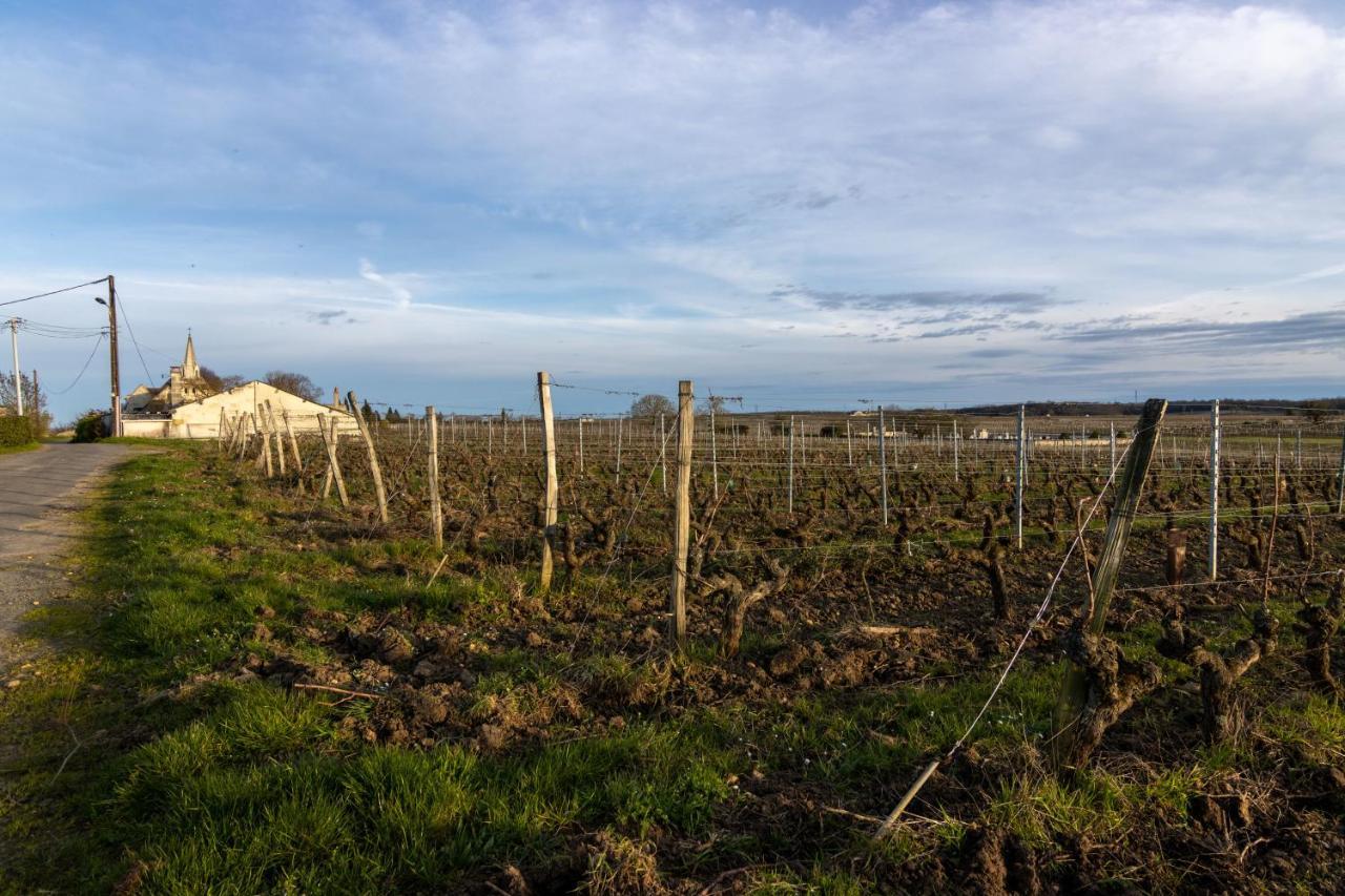 Maison Chaleureuse-Grand Jardin-Proche Saumur Parnay エクステリア 写真